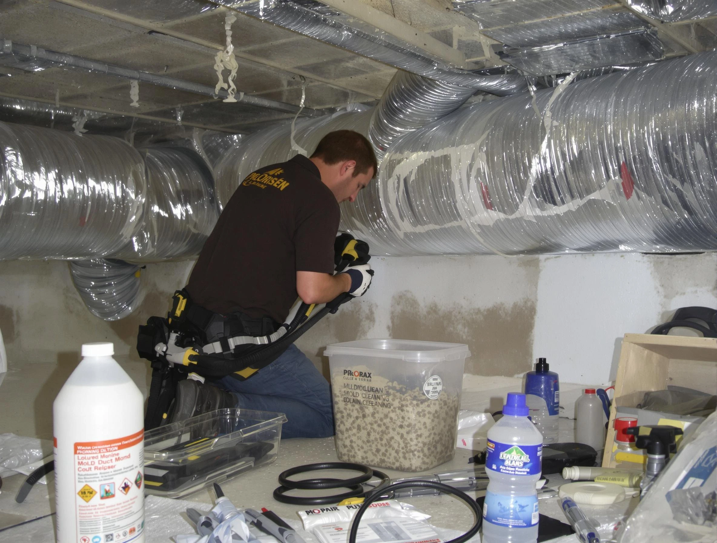 Berkley Air Duct Cleaning specialist performing professional mold removal from air ducts in Berkley